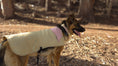 Cargar la imagen en la vista de la galería, Chaqueta Impermeable para Perros · Sheps in the Wild