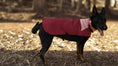 Cargar la imagen en la vista de la galería, Chaqueta Impermeable para Perros · Sheps in the Wild