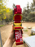 Cargar la imagen en la vista de la galería, (Rojo)