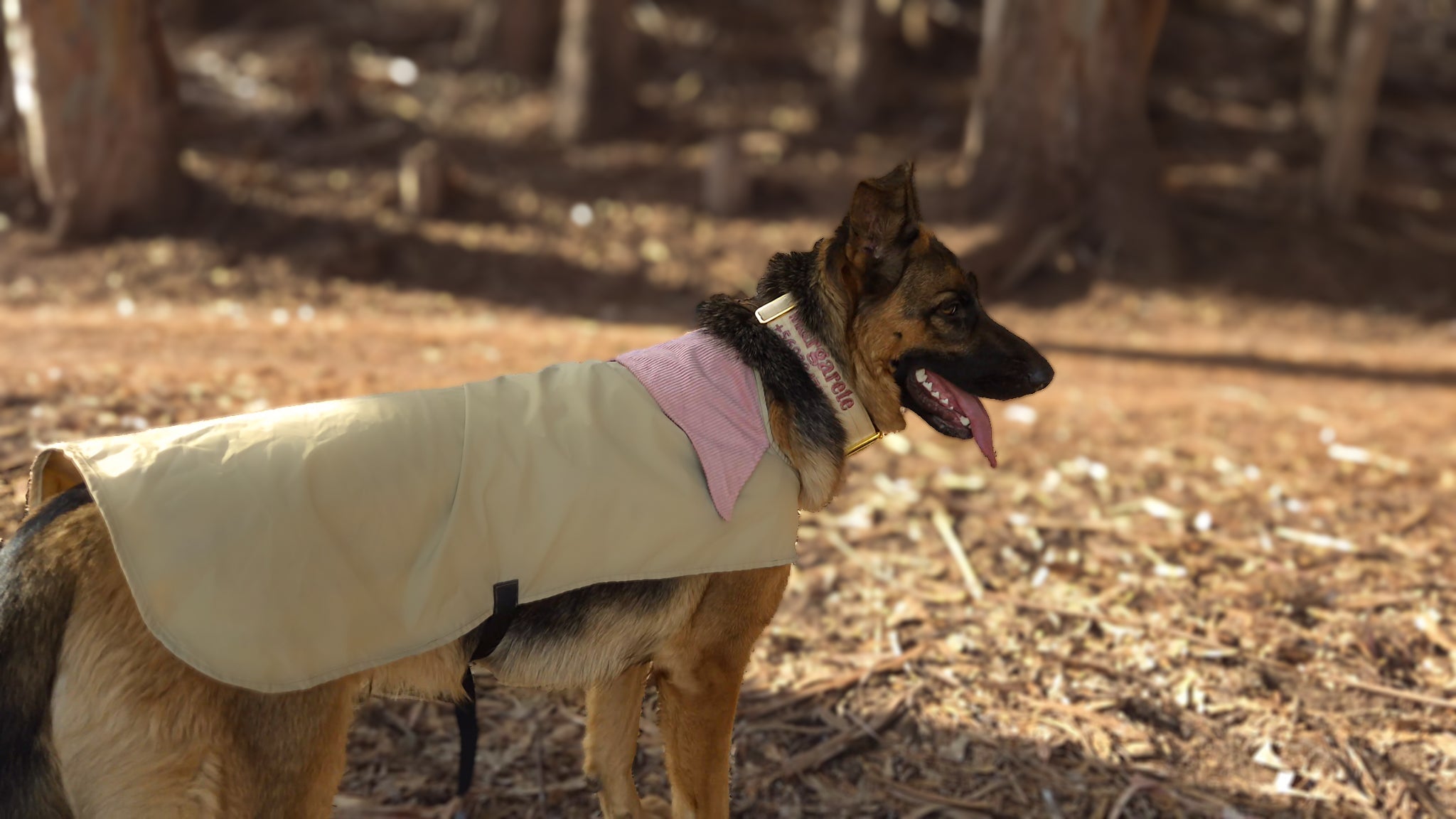 Chaqueta Impermeable para Perros  · Sheps in the Wild
