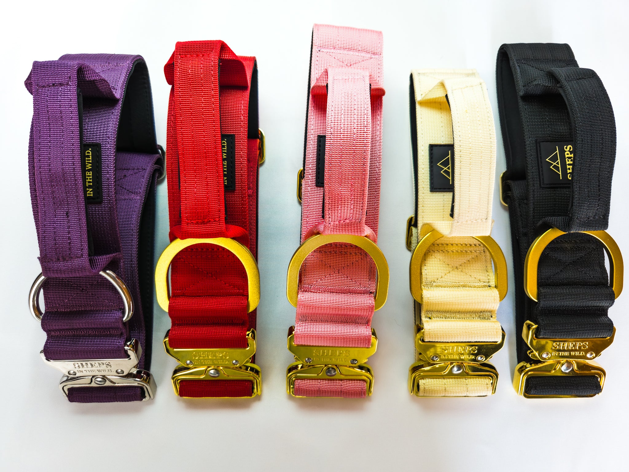 Collar Táctico 5 cm con Bordado Incluido · Sheps in the Wild