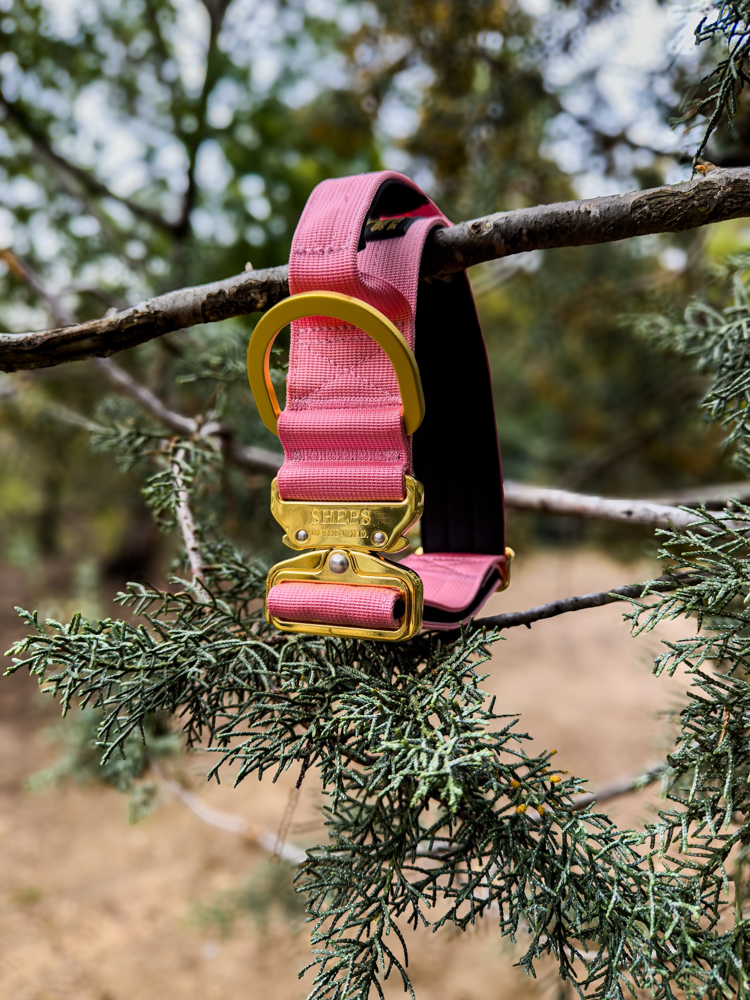 Collar Táctico 5 cm con Bordado Incluido · Sheps in the Wild