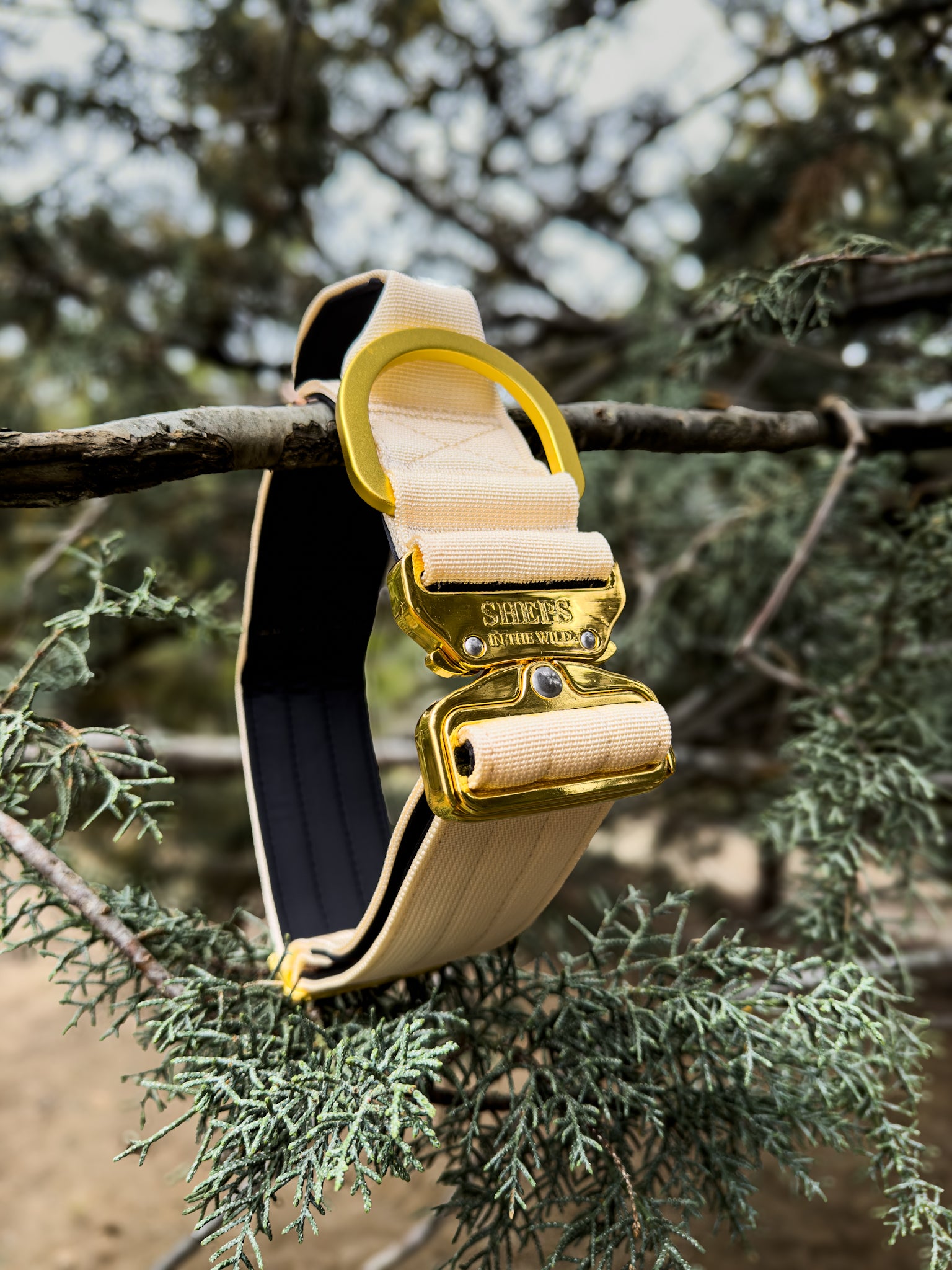 Collar Táctico 5 cm con Bordado Incluido · Sheps in the Wild