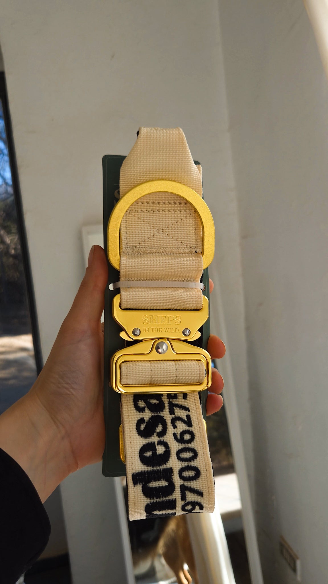 (Beige)