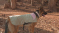 Reproducir el video en la vista de la galería, Chaqueta Impermeable para Perros  · Sheps in the Wild
