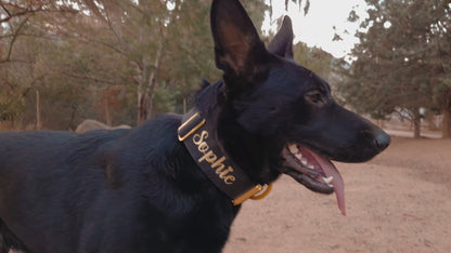 Collar Táctico con Bordado Incluido · Sheps in the Wild