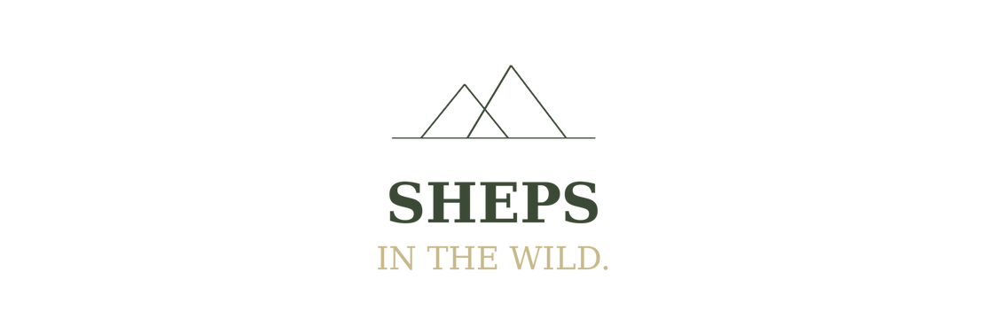 logo-banner-0